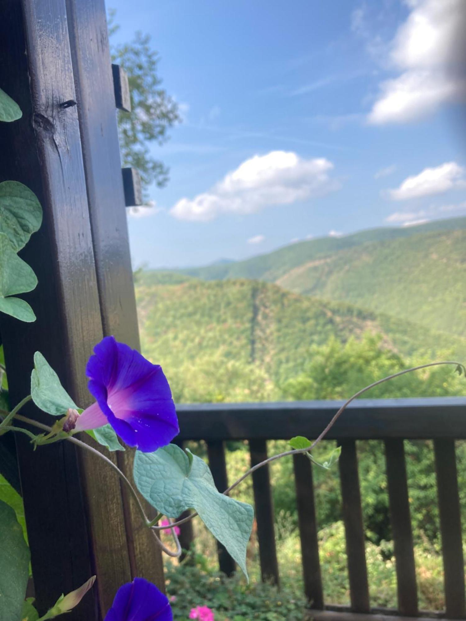 Agriturismo Becerca Vegan Serra San Quirico Exterior foto