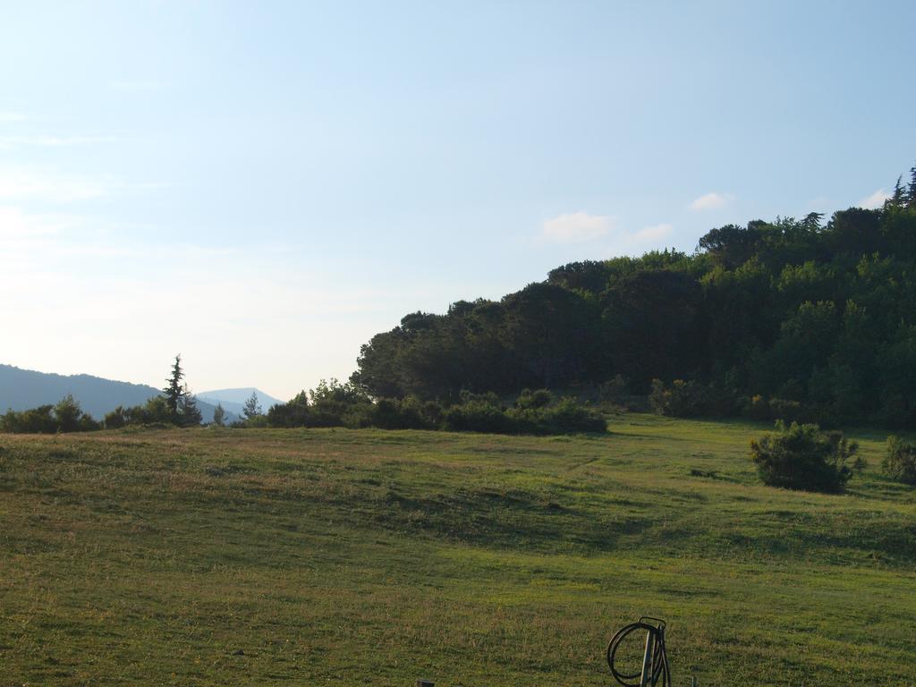 Agriturismo Becerca Vegan Serra San Quirico Exterior foto