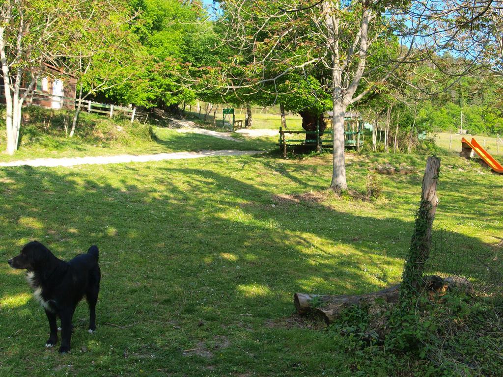 Agriturismo Becerca Vegan Serra San Quirico Exterior foto