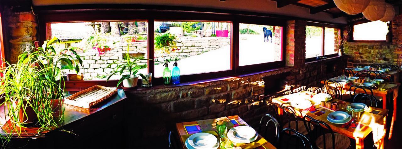 Agriturismo Becerca Vegan Serra San Quirico Exterior foto